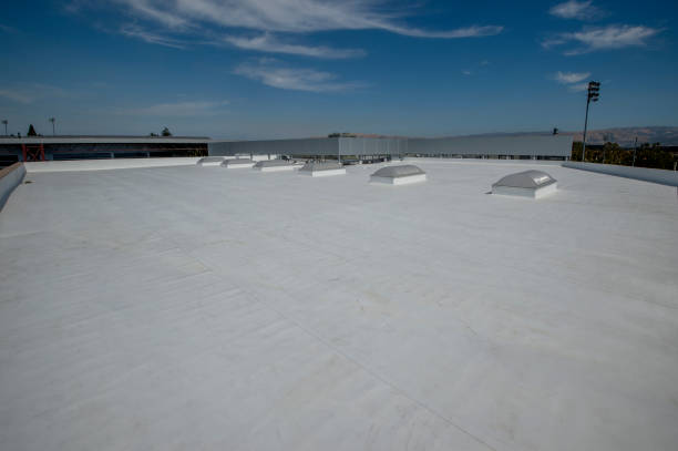 Best Storm Damage Roof Repair  in Demorest, GA