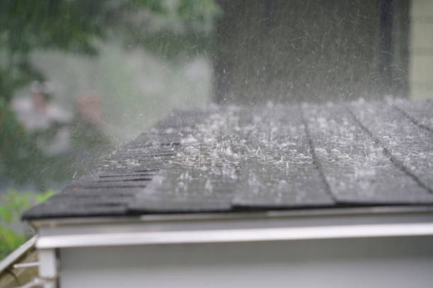 Best Skylight Installation and Repair  in Demorest, GA