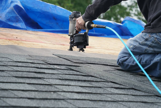 Best Roof Leak Repair  in Demorest, GA