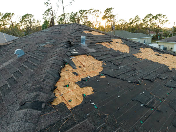 Best Gutter Installation and Repair  in Demorest, GA