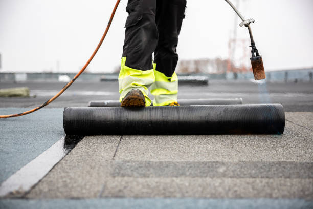 Best Roof Maintenance and Cleaning  in Demorest, GA