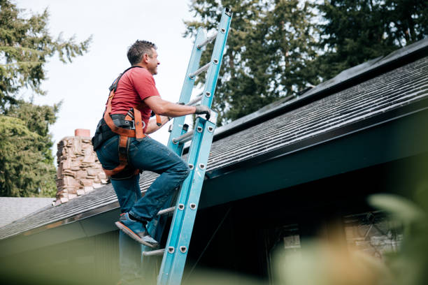 Best Roof Ventilation Installation  in Demorest, GA
